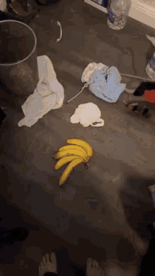 Bananas Meepinator GIF - Bananas Meepinator Ayden Moran GIFs