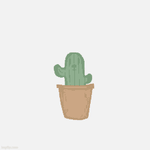 Pop Cactus GIF - Pop Cactus Pop Cactus GIFs