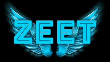 Zeet GIF - Zeet GIFs