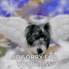 Dog Angel GIF