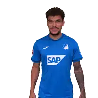 a man in a blue shirt with the number 15 on the back