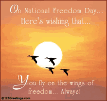 Freedom Freedom Day GIF - Freedom Freedom Day GIFs