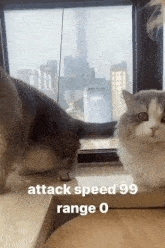 Cat Cat Attack GIF - Cat Cat Attack Attack Speed GIFs