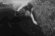 Swimming Kay Lawrence GIF - Swimming Kay Lawrence Creature From The Black Lagoon GIFs