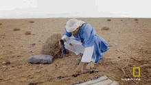 Smell Hazen Audel GIF - Smell Hazen Audel How To Solve The Scorpion Issue GIFs