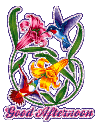 Good Afternoon Bird Sticker - Good Afternoon Bird Flower Stickers