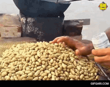Badam Peanuts GIF - Badam Peanuts Bangladesh GIFs