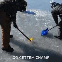 curling beer shoot ice
