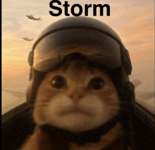 a cat is wearing a helmet and goggles and the word storm is above it