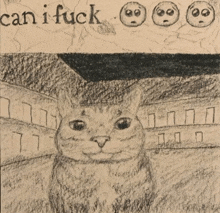 a black and white drawing of a cat with the words " can i fuck " below it
