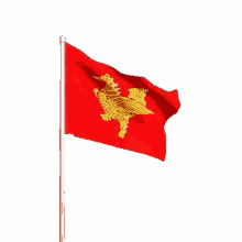 monflag myanmar flag