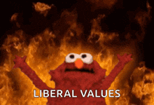 elmo from sesame street says liberal values in front of a fire background .