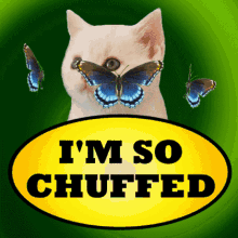 Im So Chuffed Chuffed GIF - Im So Chuffed Chuffed I Am Chuffed GIFs