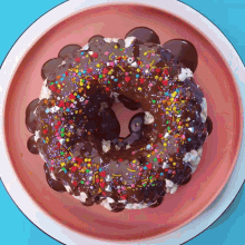 a chocolate cake with sprinkles on it on a pink plate