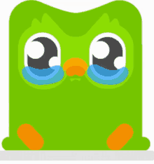 Duolingo Bird Is The Word GIF