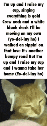 a picture of a cat with the words i 'm up and i raise my cup on it