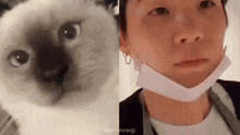 a close up of a cat and a close up of a man wearing a face mask .