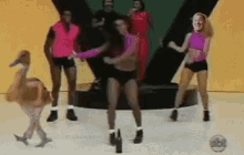 Danca Dancando GIF - Danca Dancando Pato GIFs