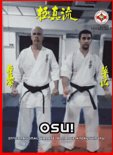 Osu Ikak GIF - Osu Ikak Karate GIFs