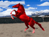 a red horse is standing on its hind legs