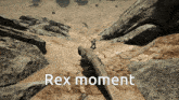 a screenshot of a video game with the words rex moment