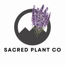 Lavender Sacred GIF - Lavender Sacred Plant GIFs
