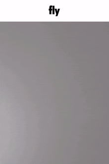 a blurred image of a person 's hand with the word fly below it