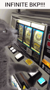 a cat playing a slot machine with the words infinite bkp on the bottom