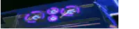 a close up of a purple and blue sign that says ' 88 '