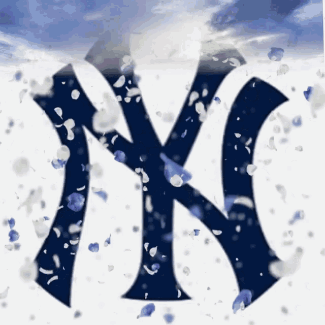 Popular GIF  New york yankees, Yankees news, Giphy