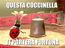 Coccinella Fortunata Fortuna Buona Fortuna In Bocca Al Lupo Colloquio Viaggio Spettacolo Daje GIF - Ladybug Good Luck A Bugs Life GIFs