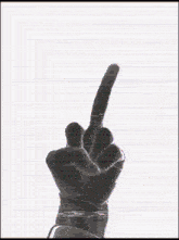 Middle Finger Middlefinger GIF - Middle Finger Middlefinger Finger GIFs