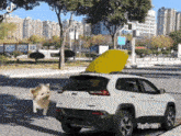 a white jeep with a yellow umbrella in the back is parked on the side of the road