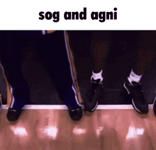 Sog And Agni Sogified GIF - Sog And Agni Sogified Sogified And Agni GIFs