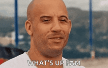 Smirk Dom Toretto GIF - Smirk Dom Toretto Dominic GIFs