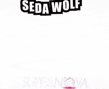 Sedada Sedawolf GIF - Sedada Sedawolf Sedastar GIFs