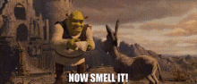 Shrek Now Smell It GIF - Shrek Now Smell It Smell It GIFs