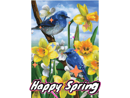 Happy Spring Springfever Sticker - Happy Spring Springfever Spring Is Coming Stickers