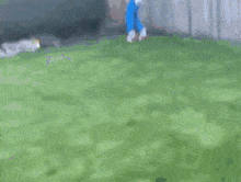 Sonic The Hedgehog Dance GIF - Sonic The Hedgehog Dance GIFs