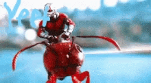 Yeet Antman GIF - Yeet Antman Jump GIFs