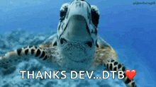 a sea turtle is swimming in the ocean and says thanks dev ... dtb .