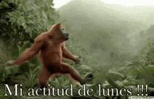 Mi Actitud De Lunes GIF - Lunes Actitud Orangutan GIFs