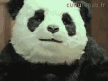 Panda Mad GIF - Panda Mad Cake GIFs