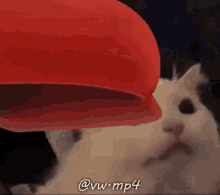 Meowmario Super Mario GIF - Meowmario Super Mario Cap GIFs