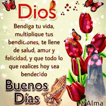 a picture of flowers and butterflies with the words dios bendiga tu vida