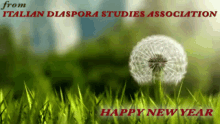 Italian Diaspora Studies Association Happy New Year GIF - Italian Diaspora Studies Association Italian Diaspora Happy New Year GIFs