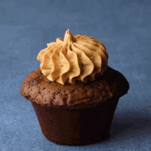 Cup Cake Donuts Tops GIF