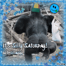 a picture of a gorilla and a cat with the caption " it 's silly saturday get silly "