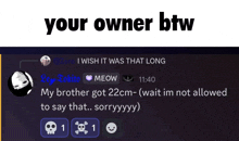 a screenshot of a chat with the words " your owner btw " above it