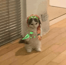 a cat wearing a green headband with the letter s on it